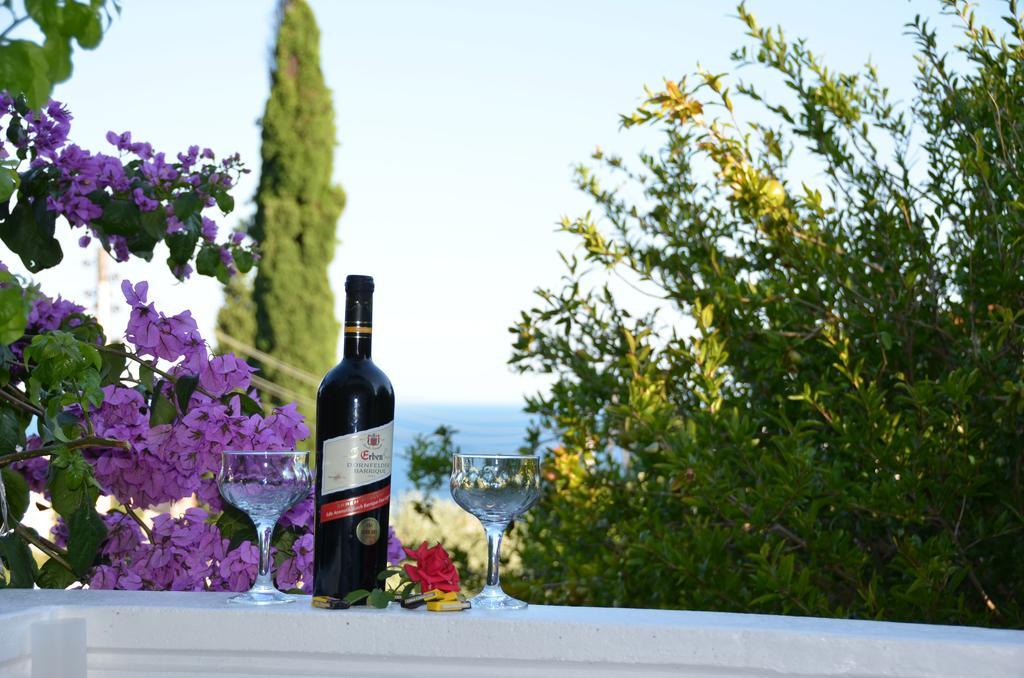 Apartment Dragovic Ulcinj Eksteriør bilde
